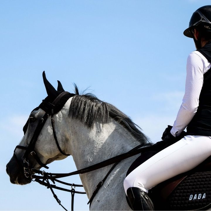 Tête et encolure d'un cheval gris regardant l'horizon