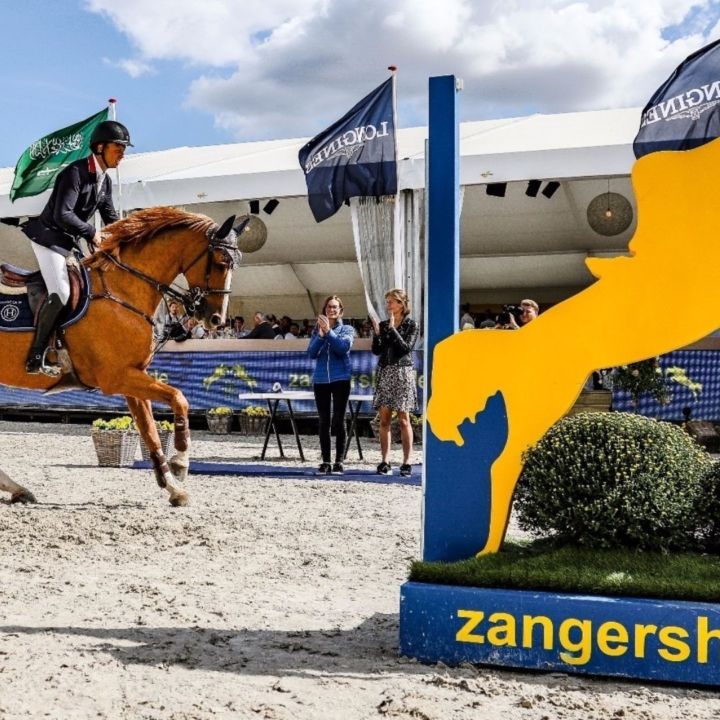 Un cheval alezan galope derriere un chandelier jaune Zangershide