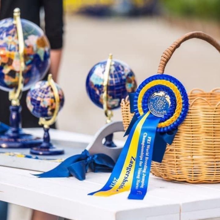 Flot bleu et jaune Zangershide