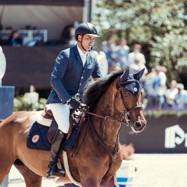 Cheval bai les oreilles en avant et cavalier