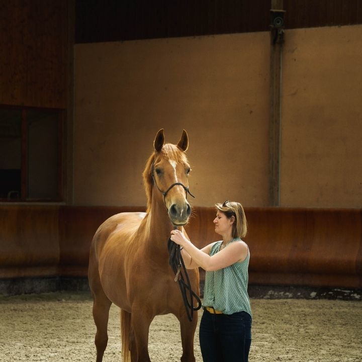 Cheval alezan tenu par une femme