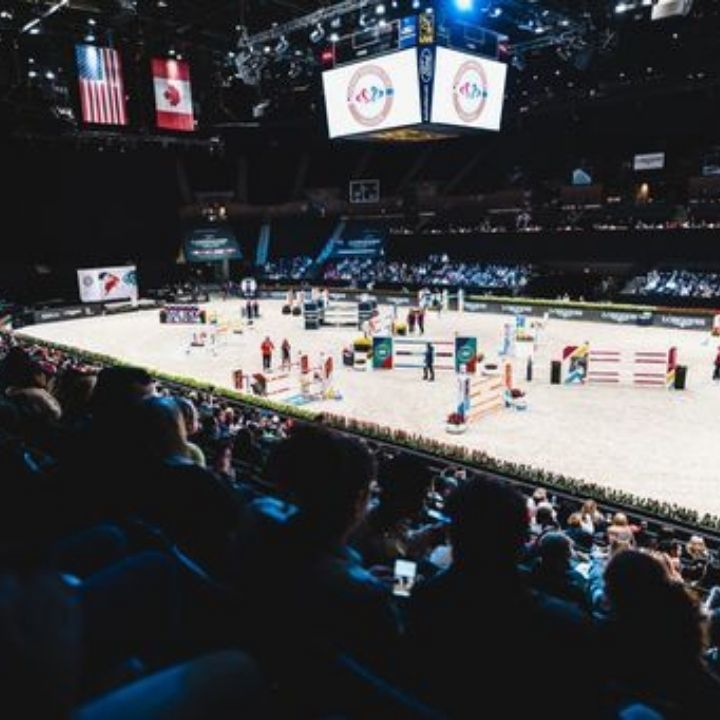 Piste de sauts d'obstacles indoor
