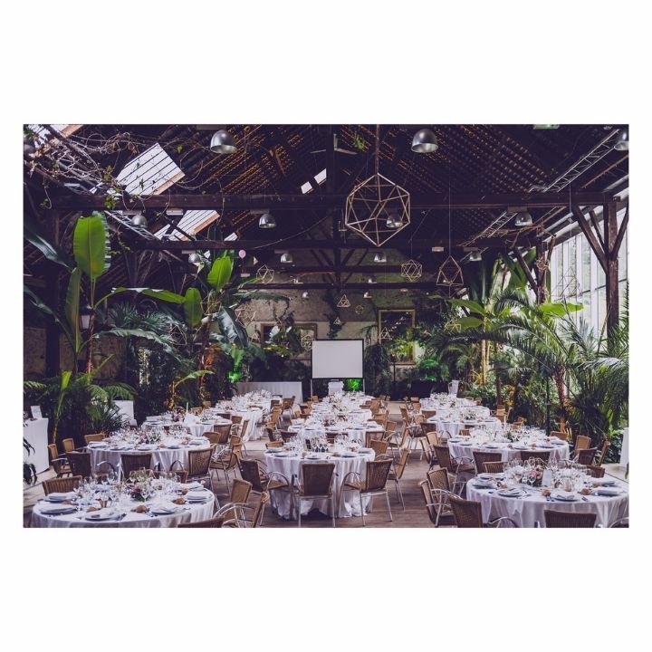 Photo d'une salle avec des tables et des palmiers