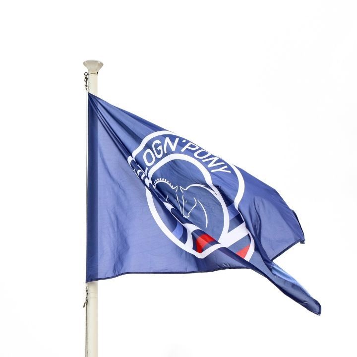 Drapeau bleu Sologn'Pony